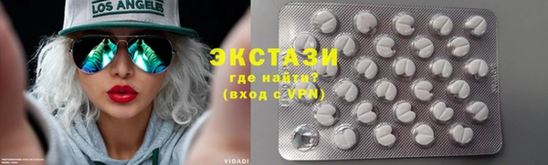 хмурый Аркадак