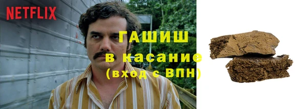 хмурый Аркадак