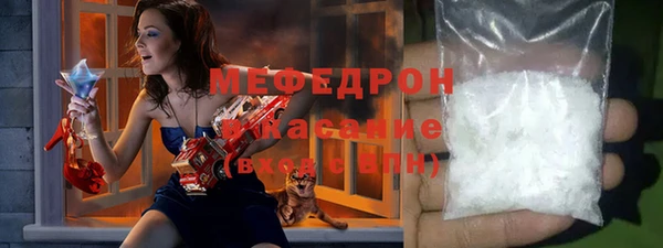 хмурый Аркадак