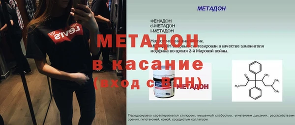 хмурый Аркадак