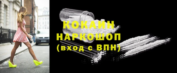 хмурый Аркадак
