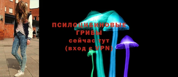 прущий лед Арсеньев