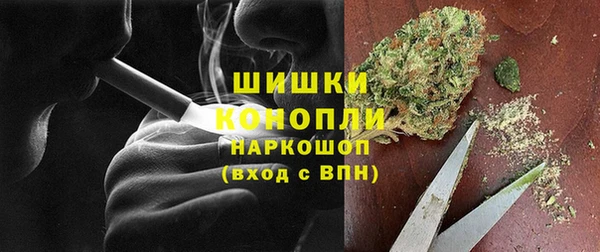 хмурый Аркадак