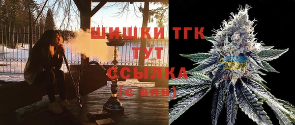 крисы Армянск