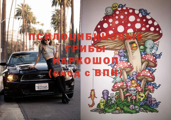 прущий лед Арсеньев