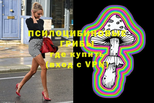 хмурый Аркадак