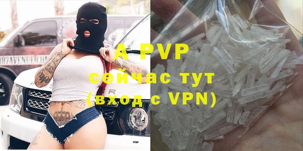хмурый Аркадак