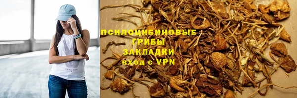 крисы Армянск