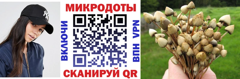 Галлюциногенные грибы Cubensis  хочу   Оленегорск 